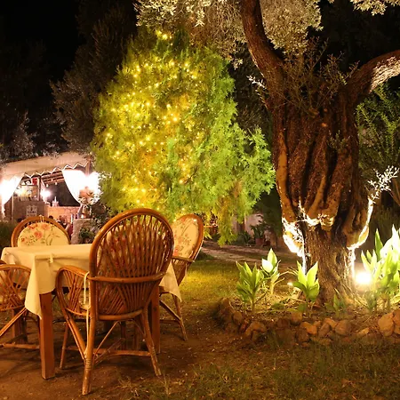 Masal Gibi داتْشا
