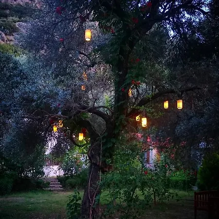 Gazde/Camere de închiriat Masal Gibi *