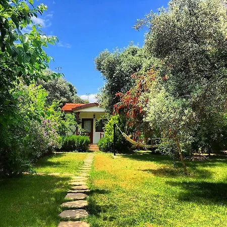 Gazde/Camere de închiriat Masal Gibi Datca