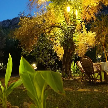 Masal Gibi Gazde/Camere de închiriat *